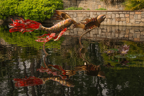 Reflections